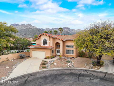 Santidad, TUCSON, AZ 85750