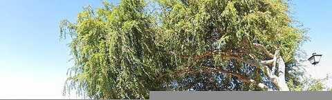 Ashwood Dr, Martinez, CA 94553