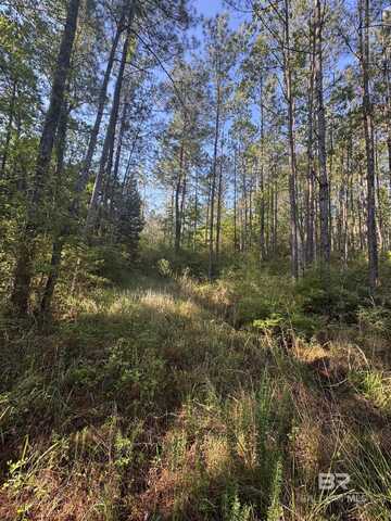 0 Blakeley Oaks Drive, Spanish Fort, AL 36527