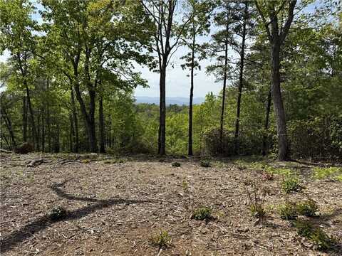 105 Parkview Lane, Sunset, SC 29685