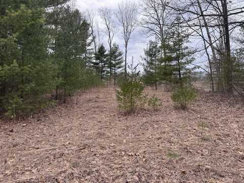 Lot#26 Mt. Maria, Hubbard Lake, MI 49747