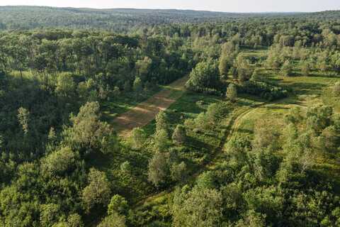 Nhn Ritchie Road, Lincoln, MI 48742