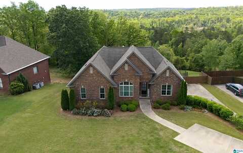 2120 CHELSEA RIDGE DRIVE, COLUMBIANA, AL 35051