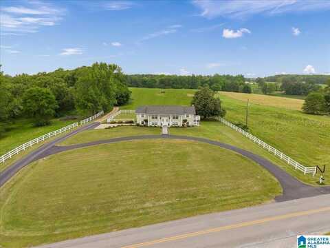 1993 COUNTY HIGHWAY 38, HORTON, AL 35980
