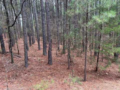 1 Atajar Place, Hot Springs Village, AR 71909