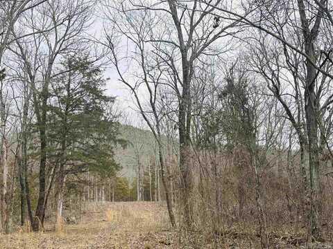 00 S 65 (w/Range St Easement Access) Highway, Marshall, AR 72650