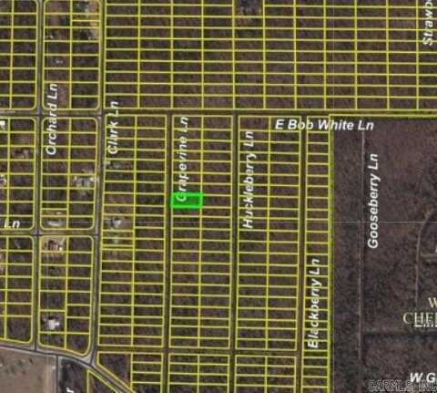 1206 Grapevine Ln, Horseshoe Bend, AR 72512