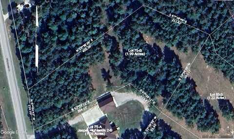 0 Wilderness Drive, Jasper, TN 37347