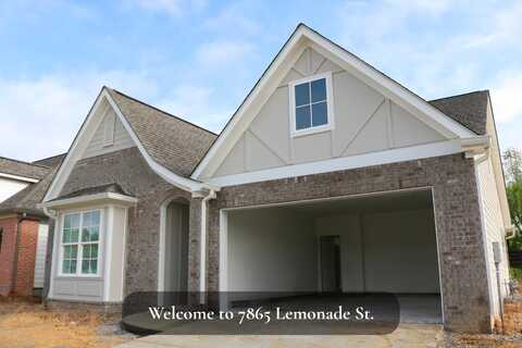 7865 Lemonade Street, Chattanooga, TN 37421