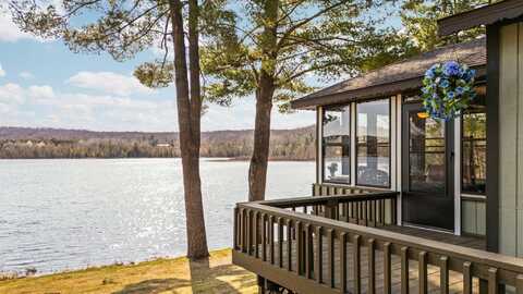 4446 CHESSIE LANE, CENTRAL LAKE, MI 49622