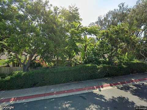 Dolphin, Laguna Niguel, CA 92677