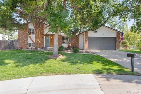 Xenon, ARVADA, CO 80004