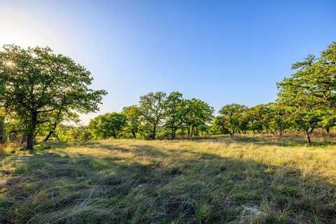 Lot 35 Fabelhaft Circle, Fredericksburg, TX 78624
