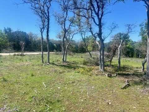 290 Estralla Cv, Blanco, TX 78606