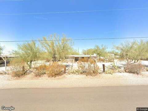Camel, QUARTZSITE, AZ 85346