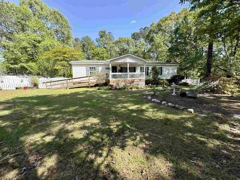 301 Green Hills Drive, Gilbert, SC 29054