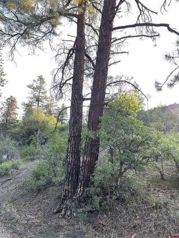 199 Gully Place, Pagosa Springs, CO 81147