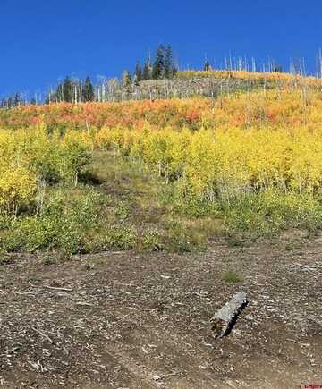 24723 HWY 149, Creede, CO 81130