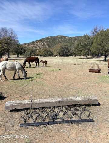 Highway 83, ELGIN, AZ 85611