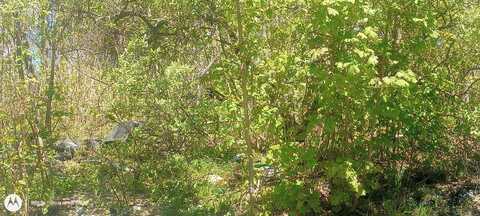 Catherine Avenue, Waterbury, CT 06701