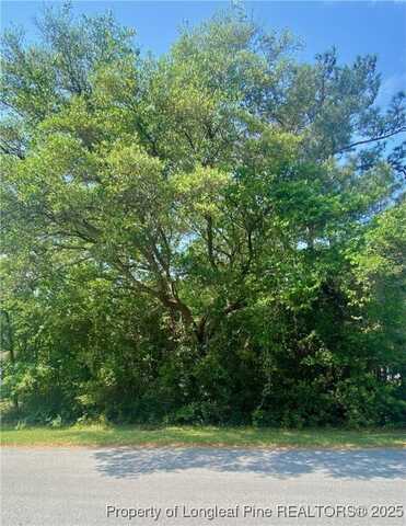 1365 Riverview Drive SW, Shallotte, NC 28470