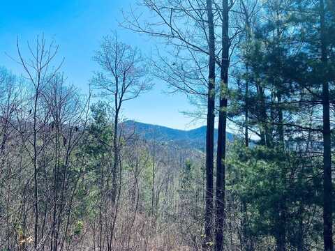 Lot 79 Garnet Rd, Sylva, NC 28779