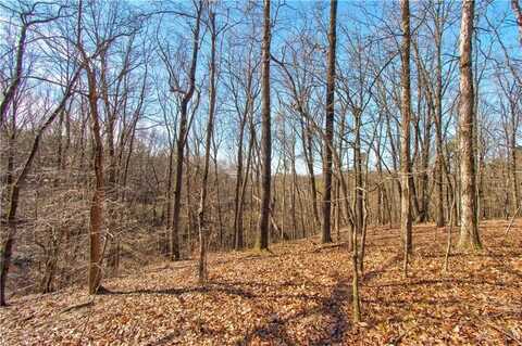 600 Chapman Ridge Lane, Dahlonega, GA 30533