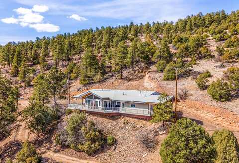 61 ALTA VISTA Trail, Los Ojos, NM 87551