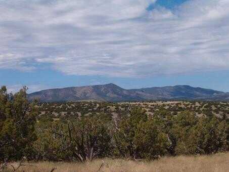 Lot 45 Pinon Springs, Magdalena, NM 87825