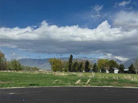 12 Liberty Drive, Bozeman, MT 59718