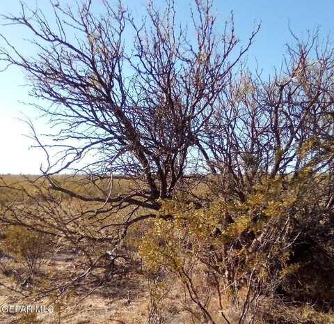 3 INDIAN WELLS, Sierra Blanca, TX 79851