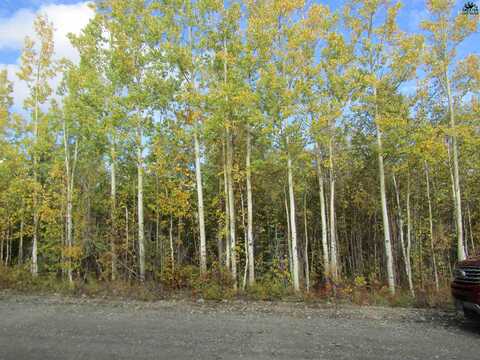 L23 CATHY LANE, Delta Junction, AK 99737