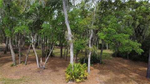 Lot 3 Kelsey Way, Darien, GA 31305