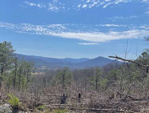 Lot #28 Whipoorwill Hill Way, Sevierville, TN 37862