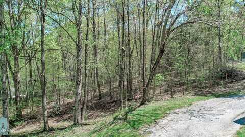 1776 Bullard Dr, Newport, TN 37821