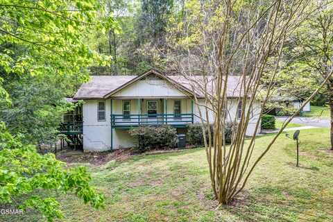3178 N Clear Fork Road, Sevierville, TN 37862