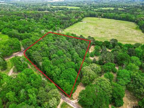TBD Giraffe RD, Gilmer, TX 75644