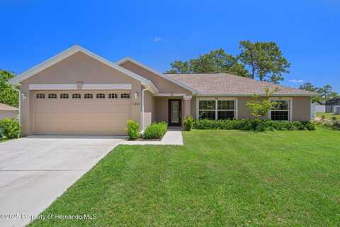 11310 Limpkin Road, Weeki Wachee, FL 34614