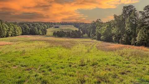 1111 Firetower Rd, Hallsville, TX 75650