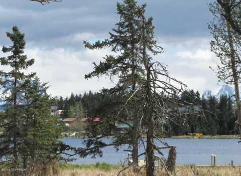 3668 Ben Walters Lane, Homer, AK 99603
