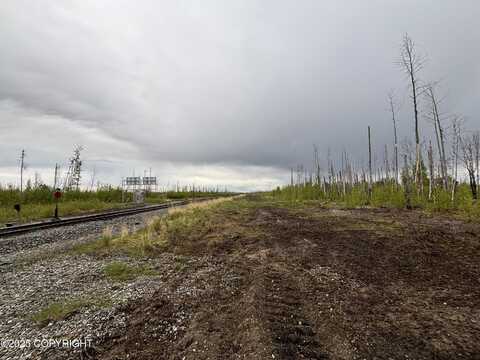 D001 No Road, Willow, AK 99688