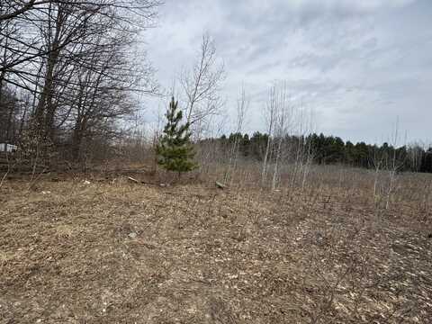 Xxx W Houghton Lake Road, Lake City, MI 49651