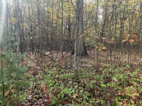 Hidden Hills lot: 35&36, Houghton Lake, MI 48629