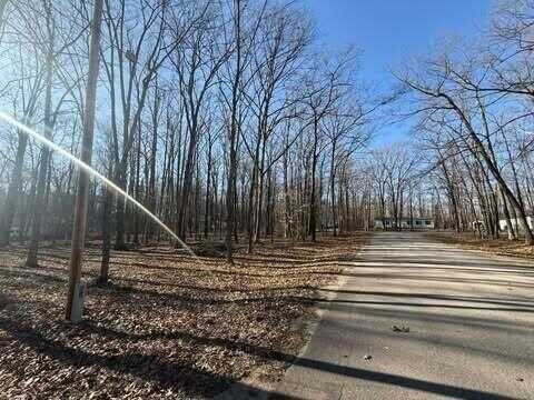 121 Burlington Drive, Roscommon, MI 48653