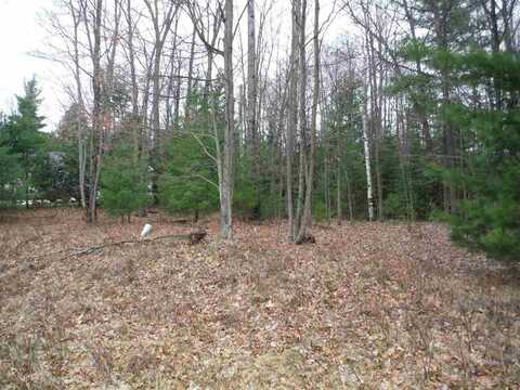 Xxx Indian Oaks Lot 9, Prudenville, MI 48651