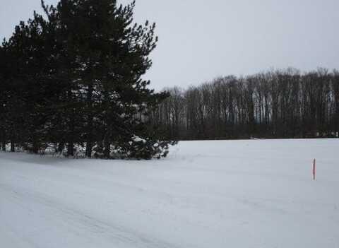 McMichael Road, Alanson, MI 49706