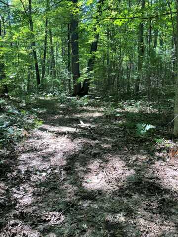 Arthur Street lot: 10 Lots, Topinabee, MI 49791