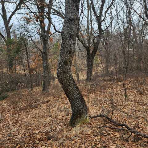 Cody Road lot: 27 & 28, Glennie, MI 48737