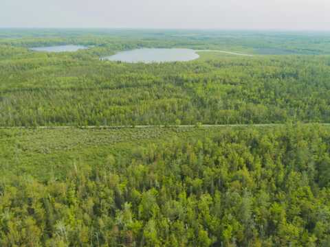 Off Big Cut Highway, Millersburg, MI 49759