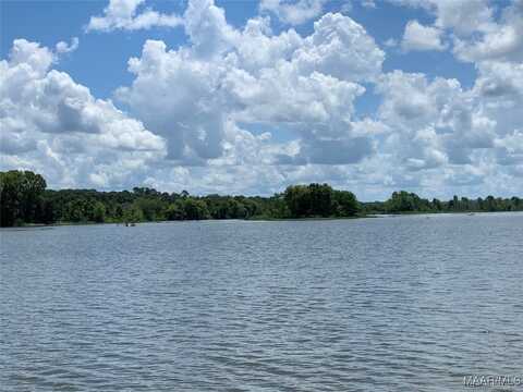 13 Riverview Landing Drive unit: 13, Camden, AL 36726